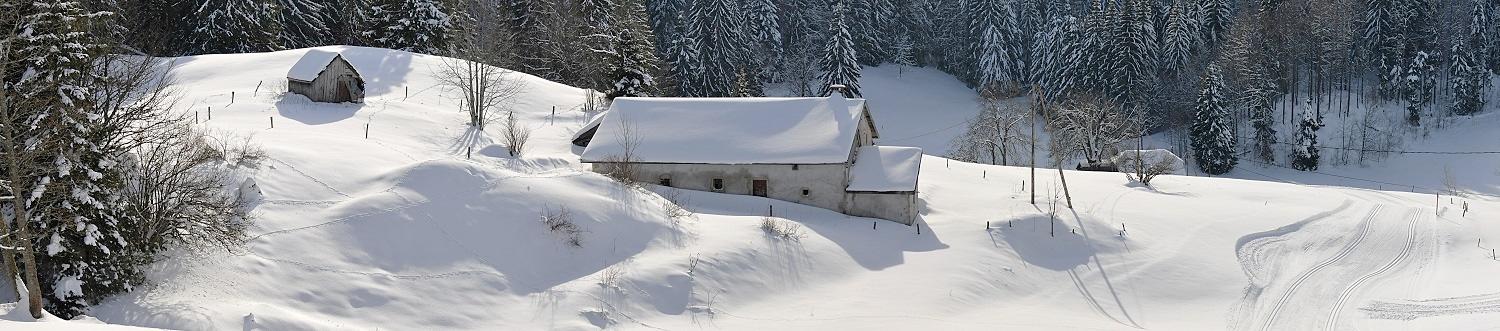 Carrefour des Fournets