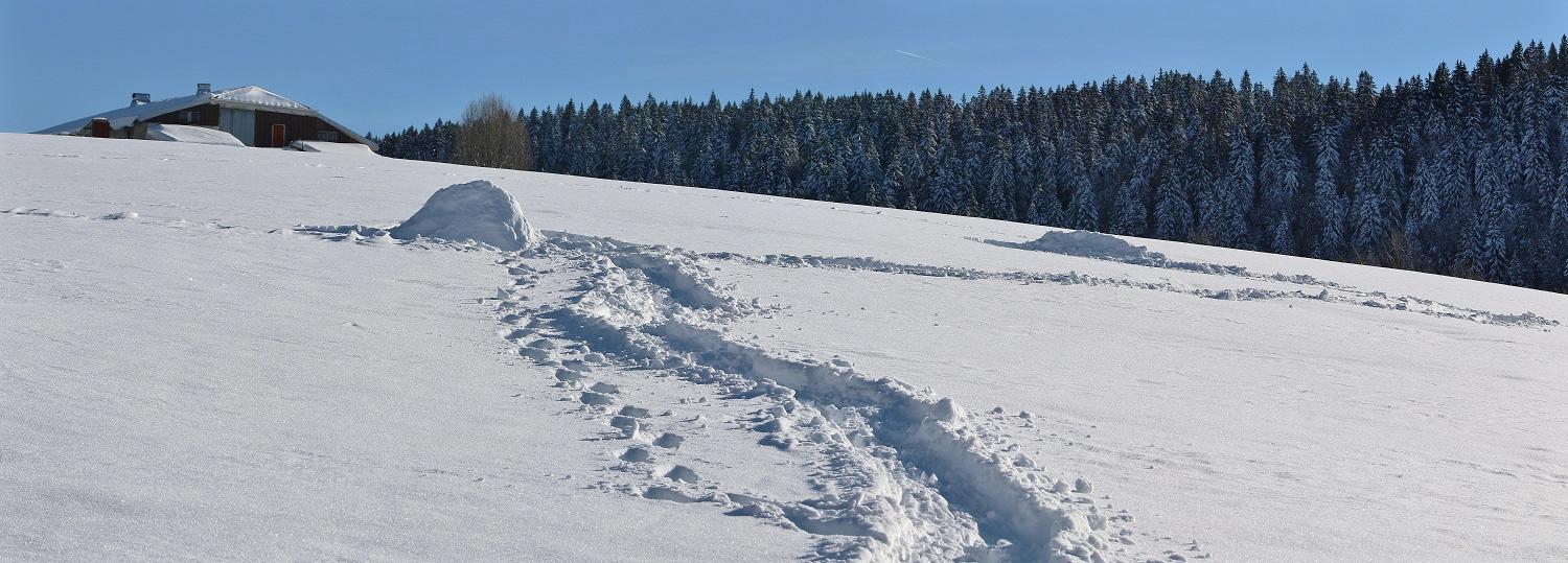 Carrefour des Fournets
