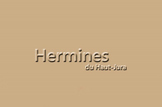 Hermines
